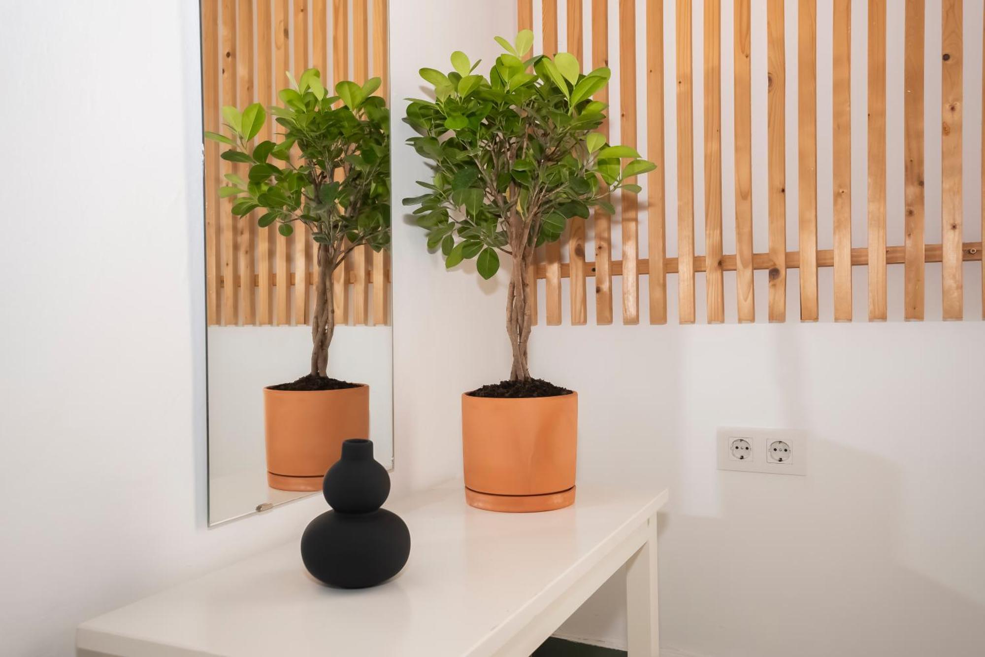 California Apartament Dos De Mayo 塞维利亚 外观 照片